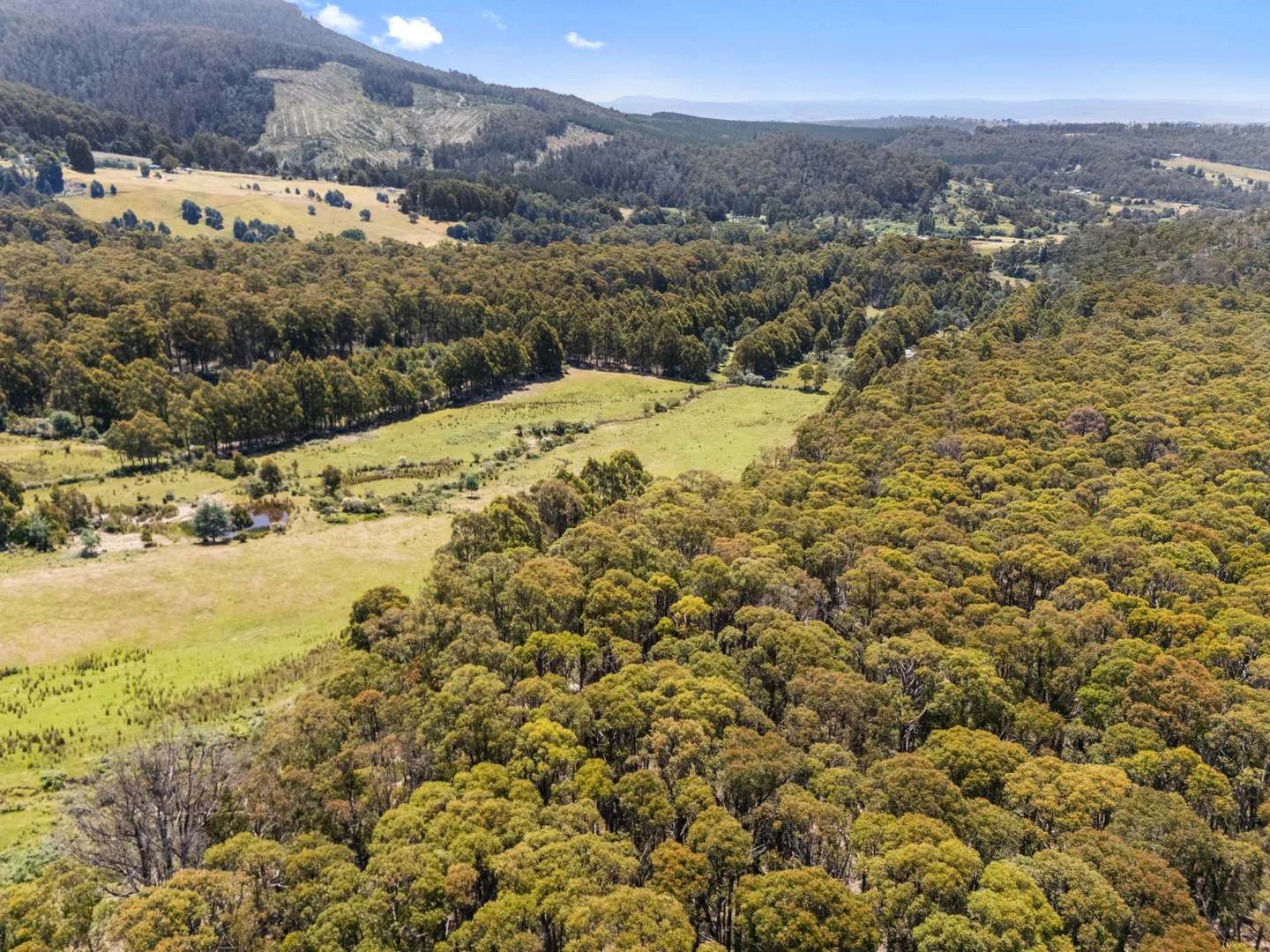 Additional image 5 of 79 Marriotts Road, Ellendale TAS 7140