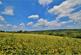 Additional image 59 of Glenleigh Walk, Robertsbridge, TN32