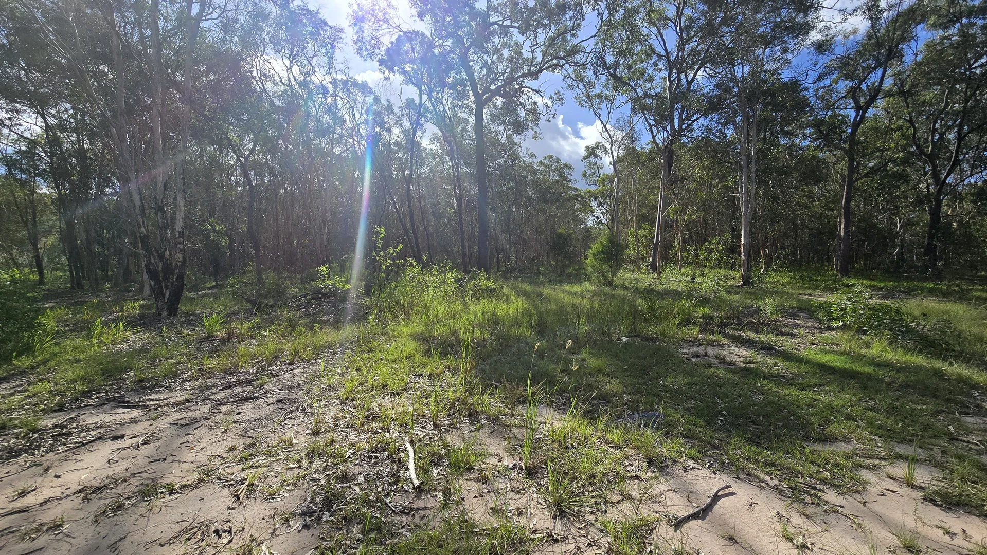 Additional image 3 of 33 Coachmans Place, Oakhurst QLD 4650