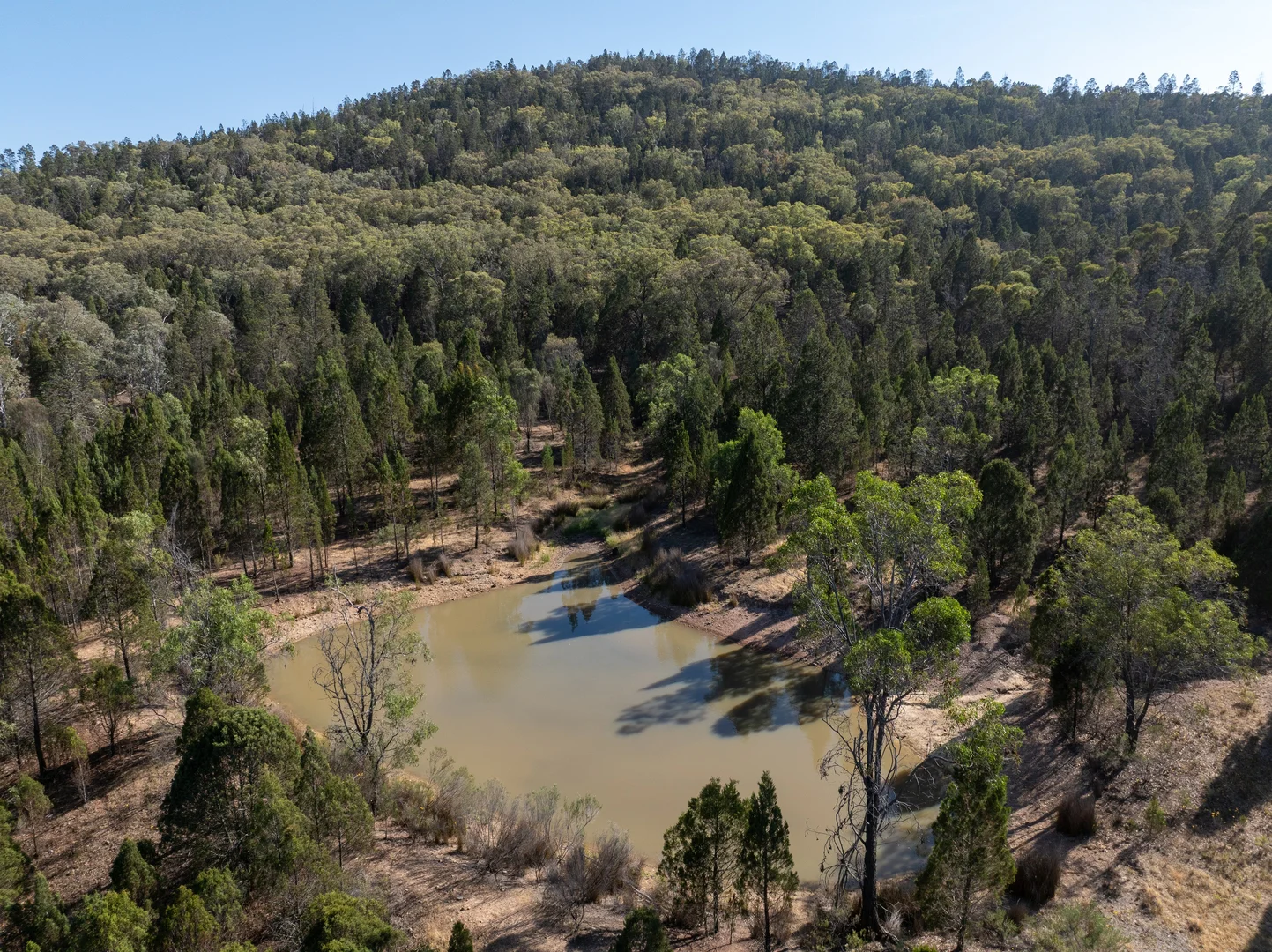 Additional image 2 of 35 Rosamel Lane, Manildra NSW 2865