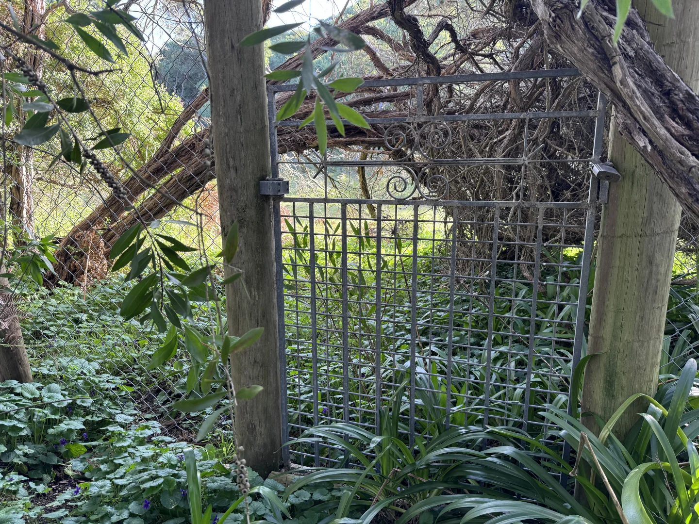 Additional image 3 of 123 Atherton Drive, Venus Bay VIC 3956