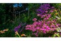 Additional image 69 of 5 Viox Way, San Rafael, CA, 94901