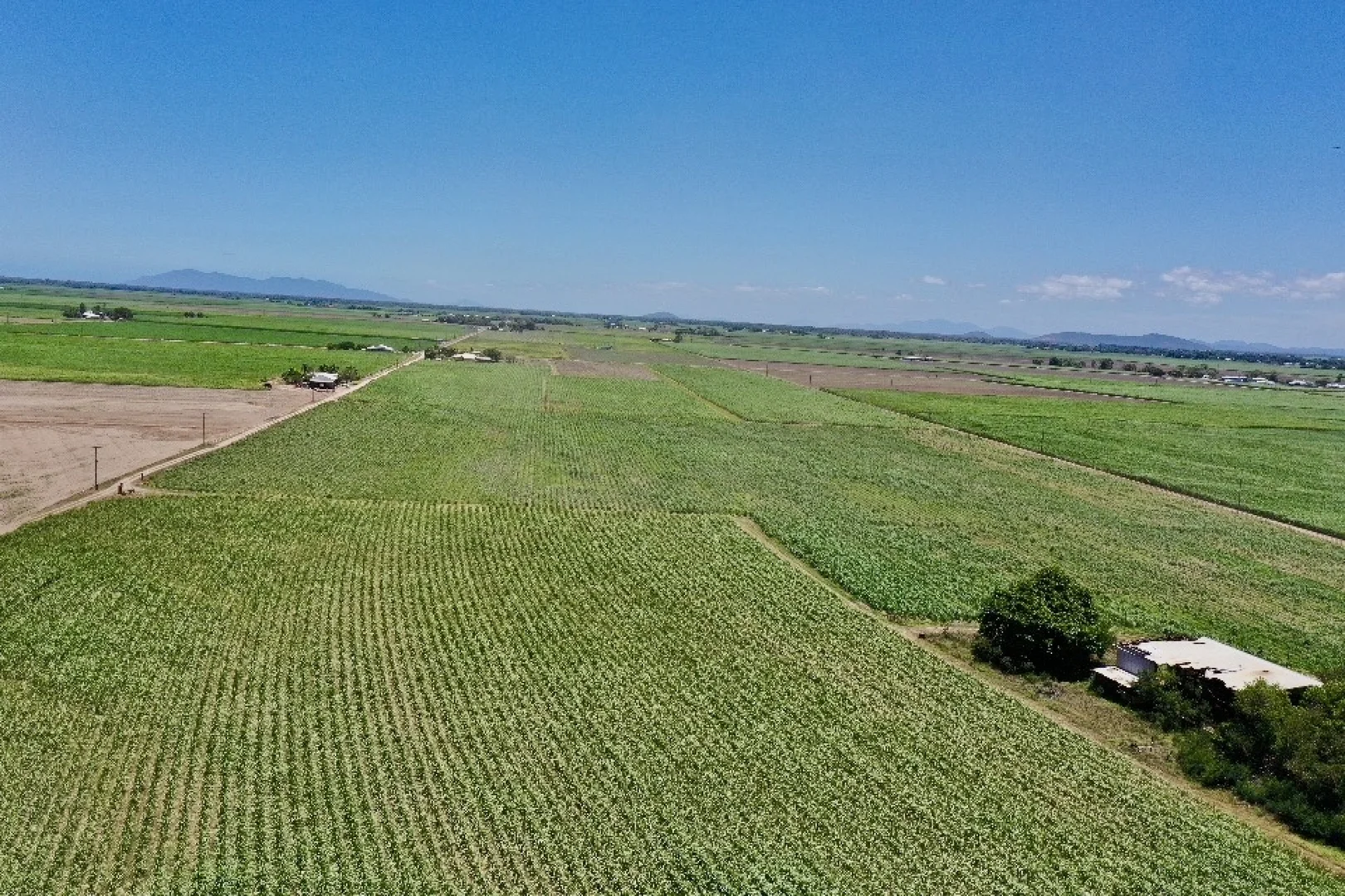 Additional image 4 of 121 Hobson Road, Jarvisfield QLD 4807