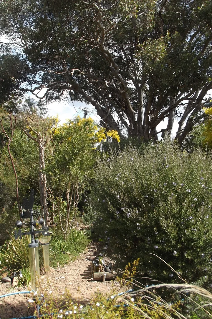 Additional image 9 of Calwell ACT 2905