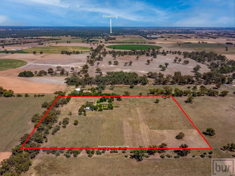 Additional image 7 of 142 Whittaker Lane, Howlong NSW 2643
