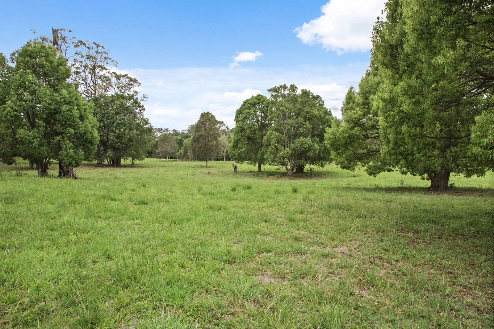 Additional image 11 of 116 Thrushs Road, Dulong QLD 4560