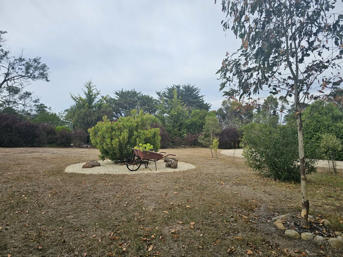 Additional image 29 of 14235 Tasman Highway, Swansea TAS 7190