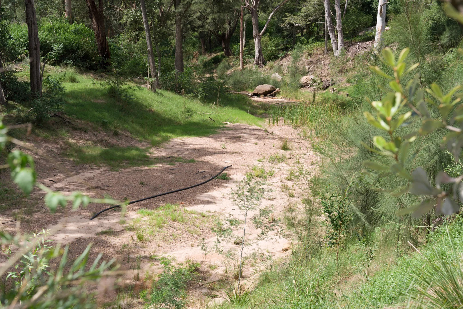 Additional image 82 of 3134 Putty Road, Milbrodale NSW 2330