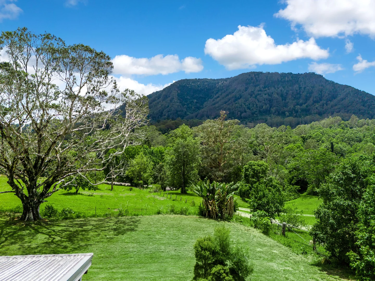 Additional image 32 of 442 Blue Knob Road, Nimbin NSW 2480