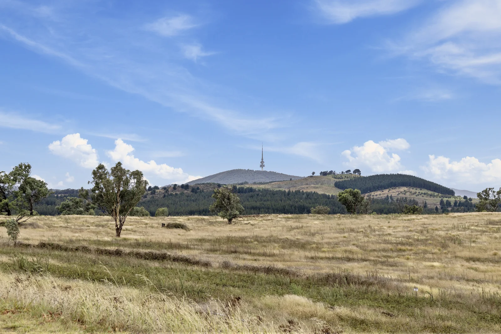 Additional image 18 of 55/44 Marie Little Crescent, Denman Prospect ACT 2611