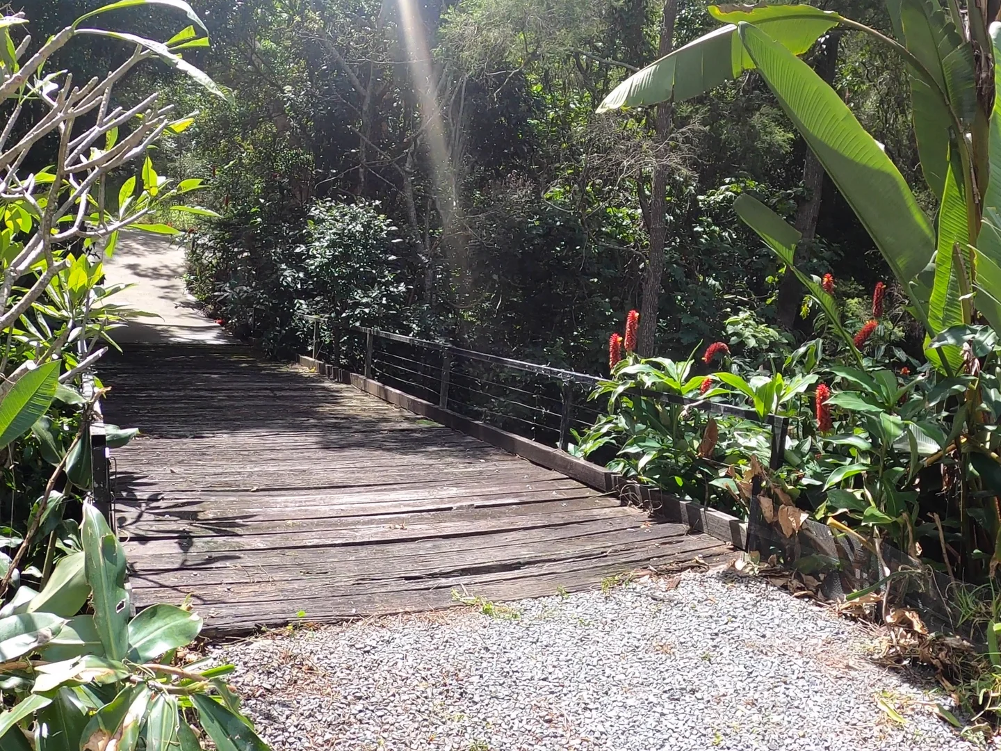 Additional image 26 of 76 Manor Court, Canungra QLD 4275