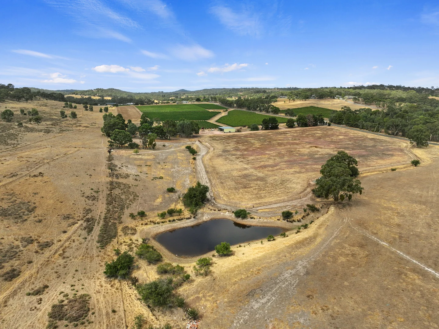 Additional image 6 of 229 Neagles Rock Road, Clare SA 5453