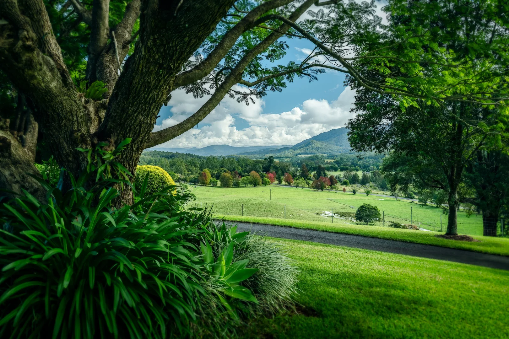Additional image 21 of 2165 Waterfall Way, Thora NSW 2454