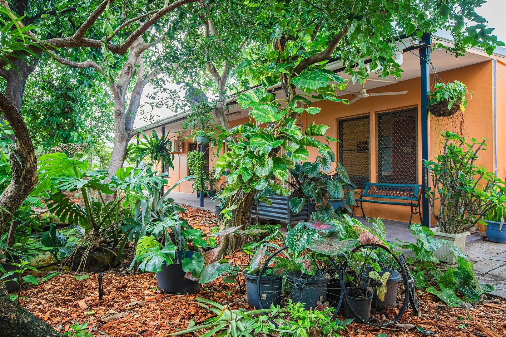 33 Wandie Crescent, Anula NT 0812