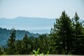 Additional image 61 of 555 Bohnen Rd, Santa Cruz, CA, 95065