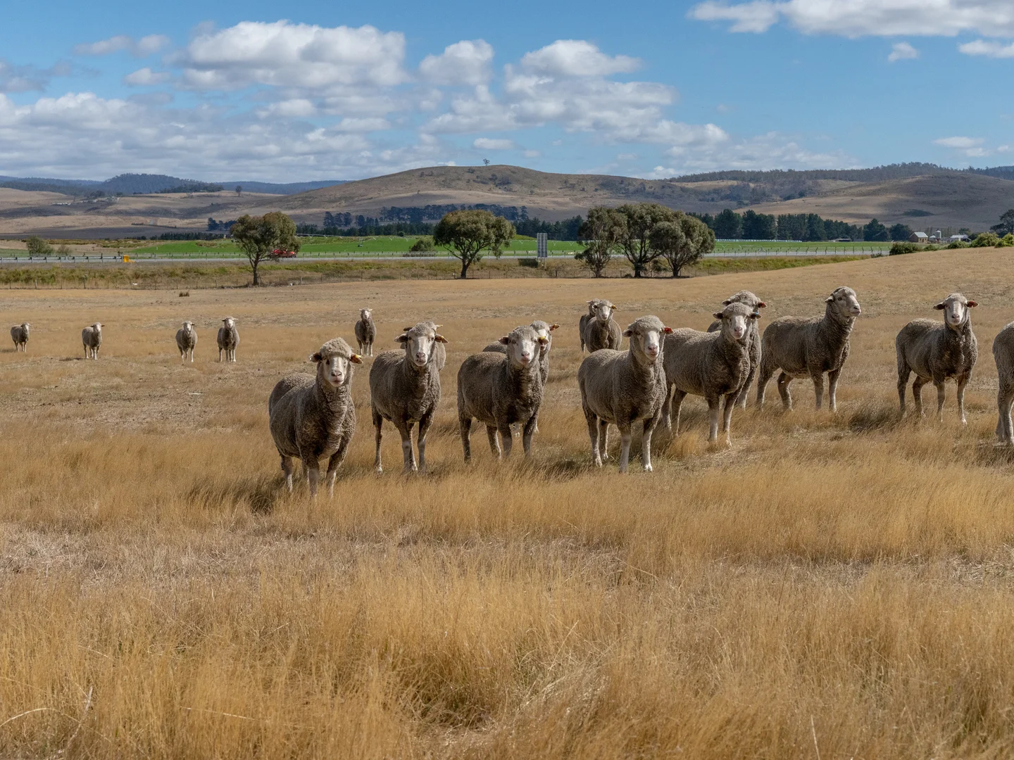 Additional image 17 of 2A High Street, Oatlands TAS 7120