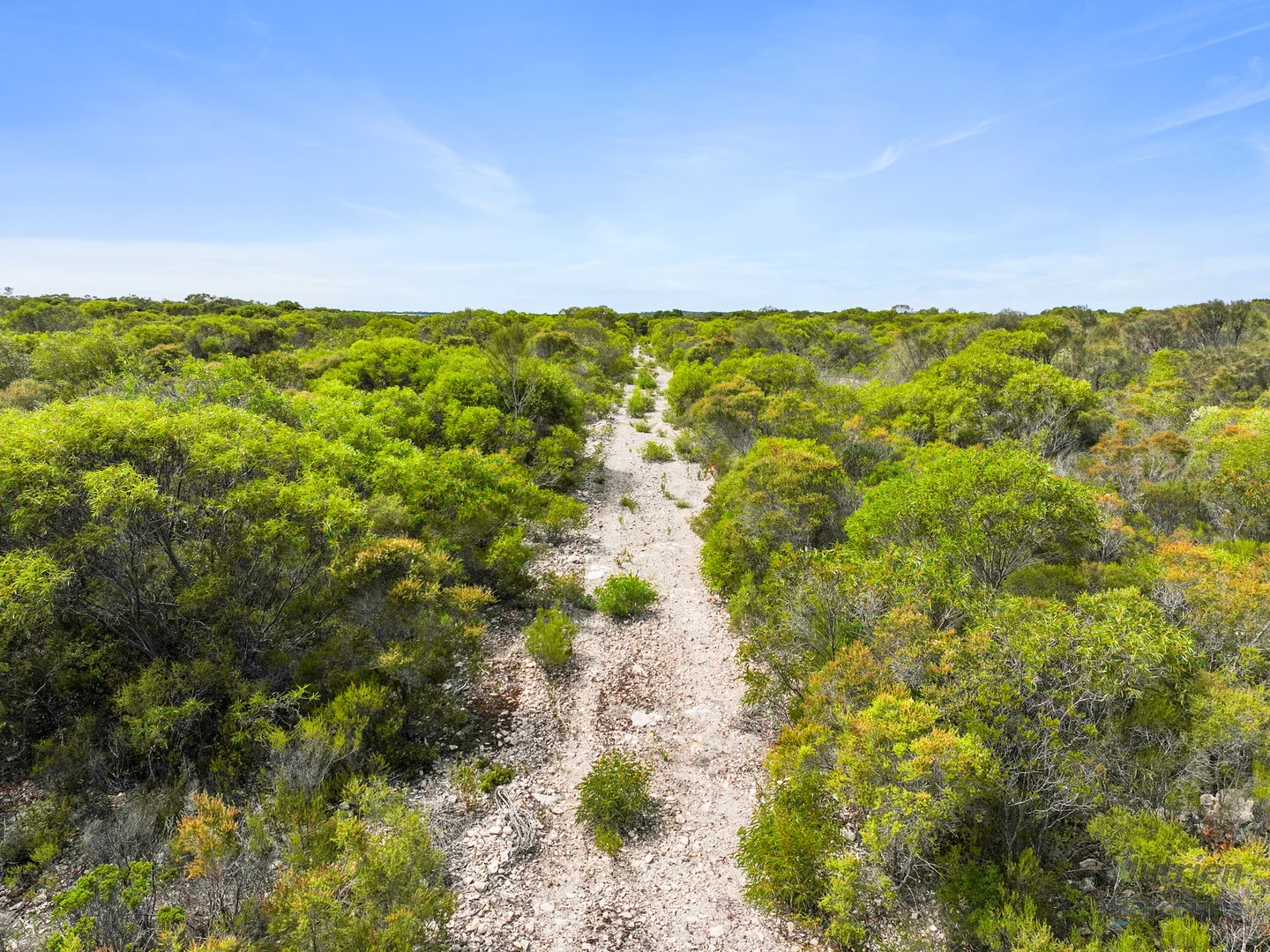 Sect. 230 Levens Road, Warooka SA 5577 photo 2