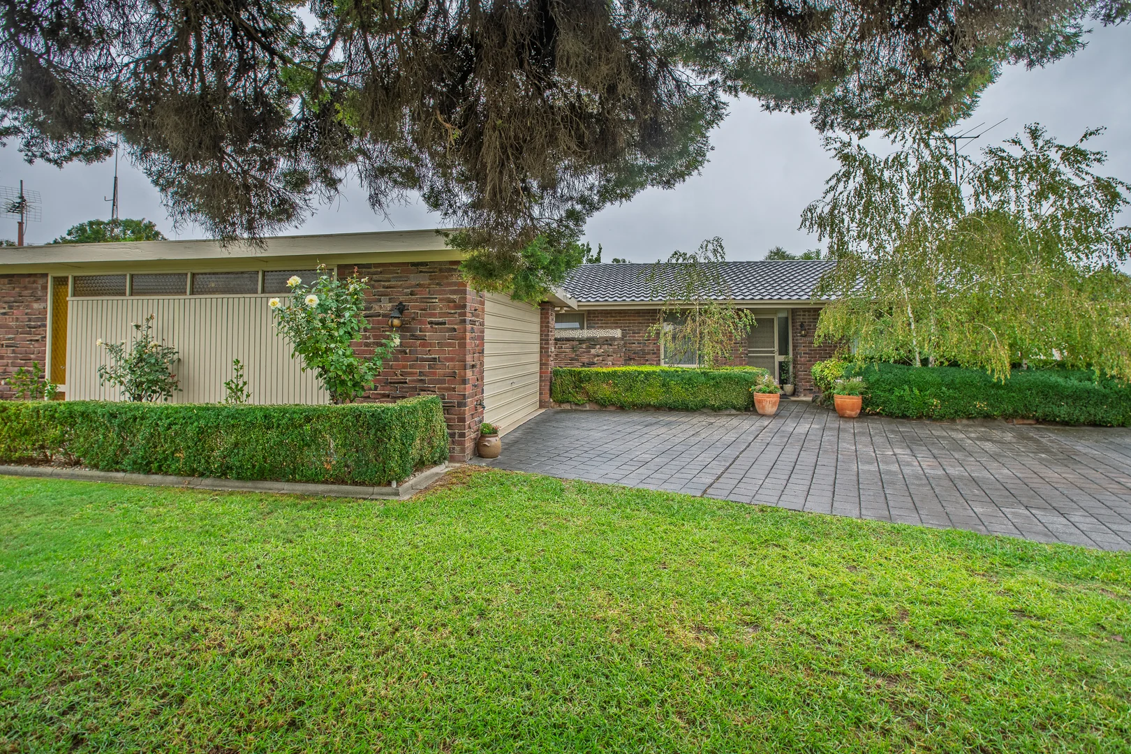 Additional image 23 of 1007 Ruth Street, North Albury NSW 2640