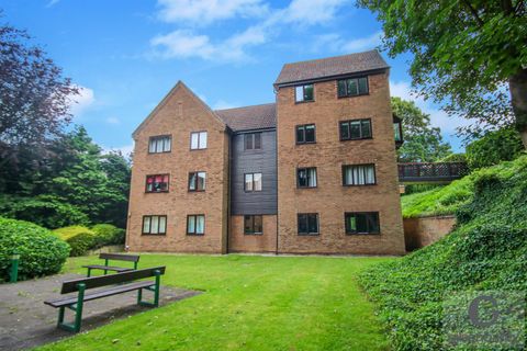 Gilman Road, Norwich NR3