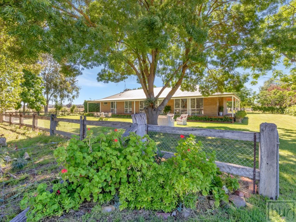 Additional image 5 of 142 Whittaker Lane, Howlong NSW 2643