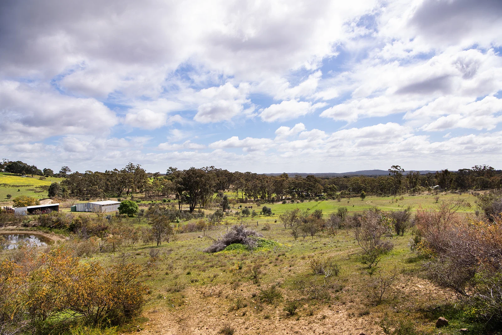 Additional image 11 of 3 Mandurang South Road, Mandurang South VIC 3551