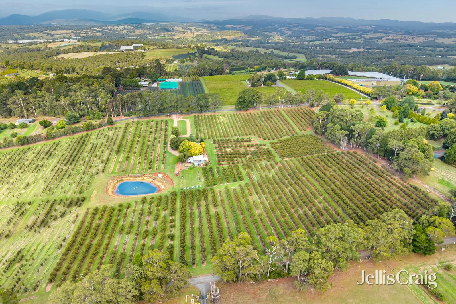Additional image 6 of 56 Monbulk-Seville Road, Seville VIC 3139