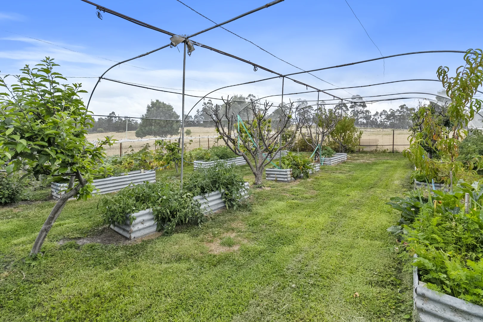 Additional image 39 of 94 Blue Hills Road, Copping TAS 7174