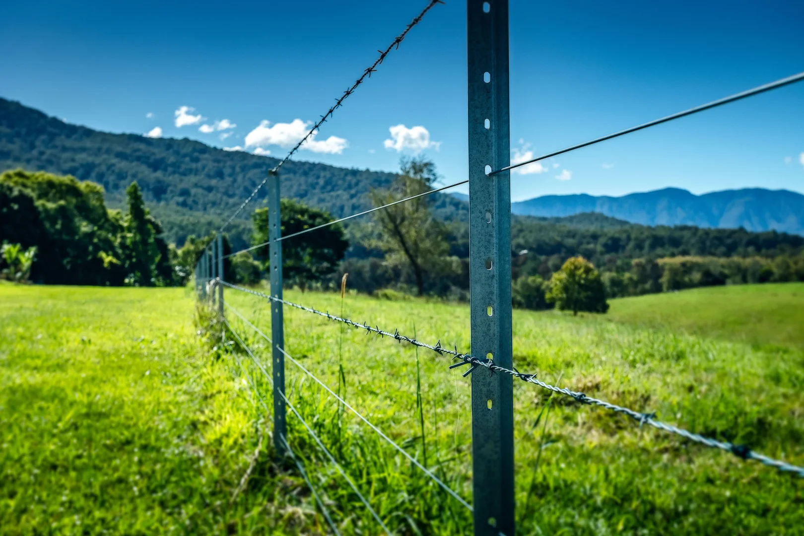 Additional image 39 of 2165 Waterfall Way, Thora NSW 2454