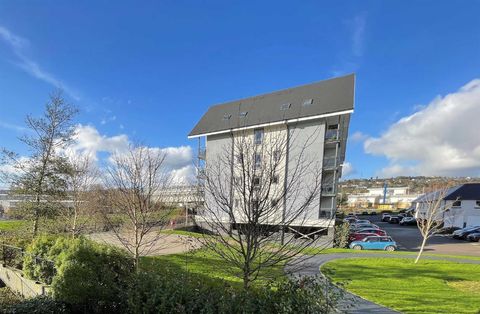 Phoebe Road, Copper Quarter, Pentrechwyth, Swansea SA1