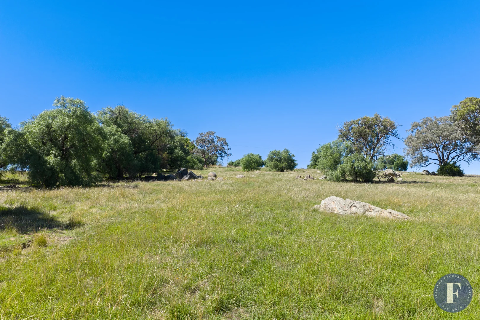 Additional image 11 of 130 Allandale Road, Young NSW 2594