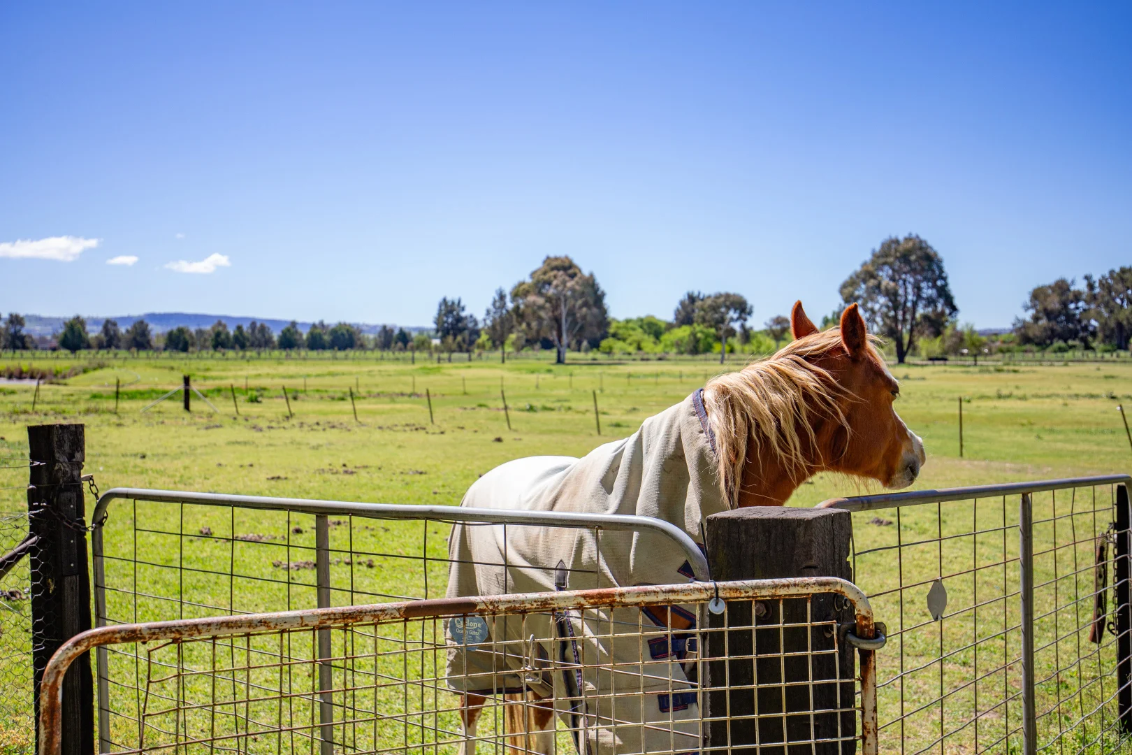 Additional image 32 of 13A Macquarie Street, West Bathurst NSW 2795