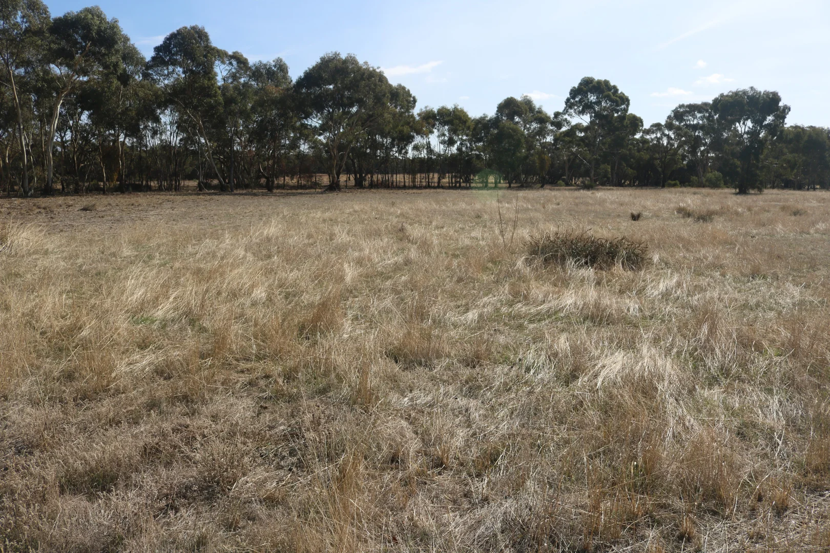 Old Boort Road, Woolshed Flat VIC 3518 photo 4