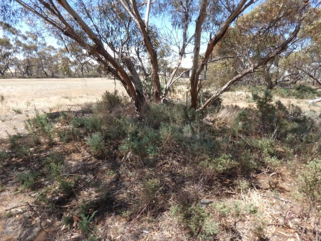 24 Station Street, Tempy VIC 3489 photo 3