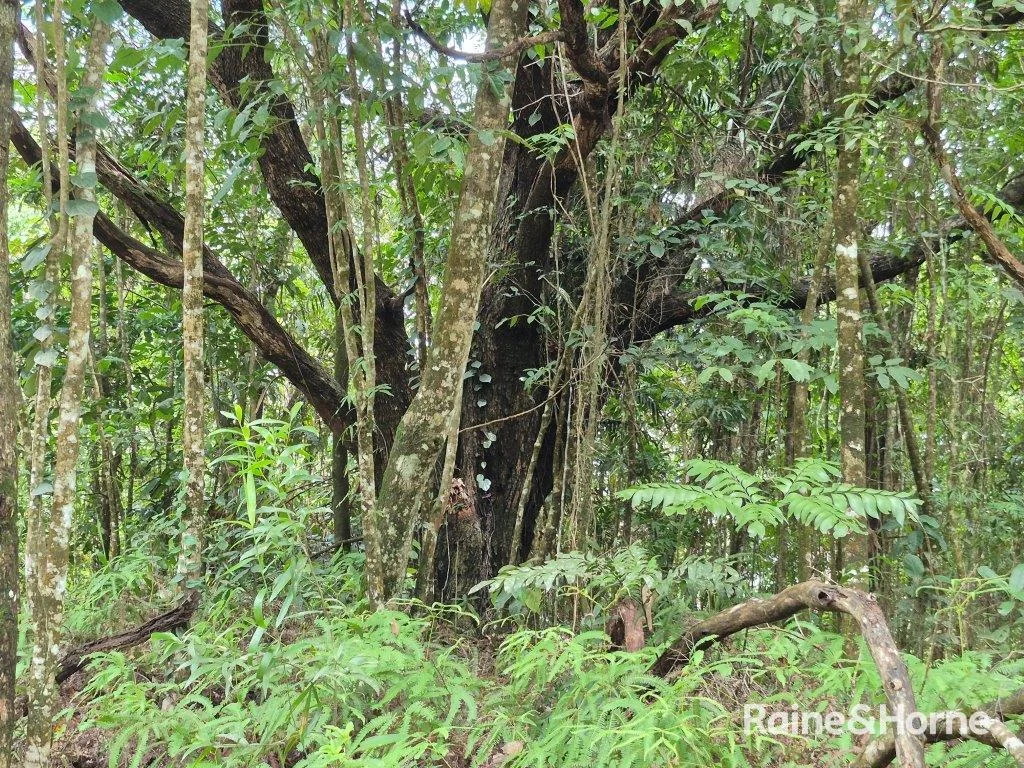 Additional image 8 of Lot 18 George Road, Forest Creek QLD 4873