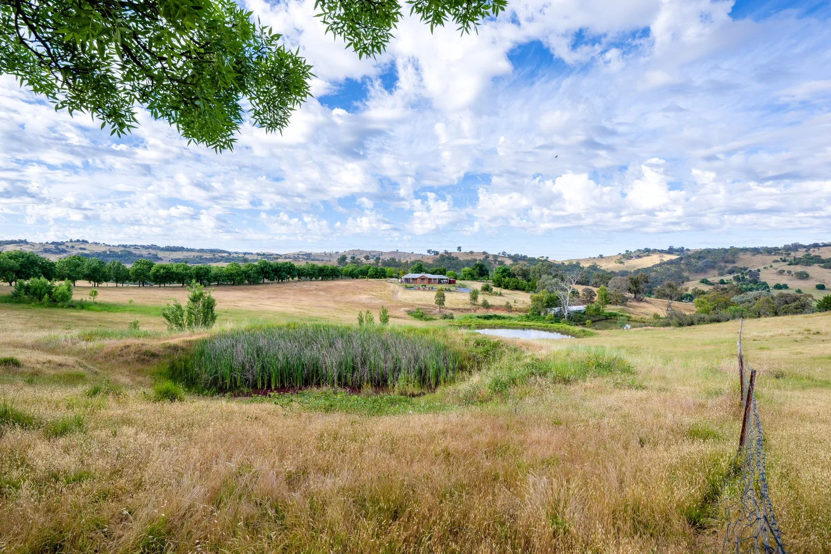 Additional image 29 of 103 Spring Gully Road, Huon Creek VIC 3691