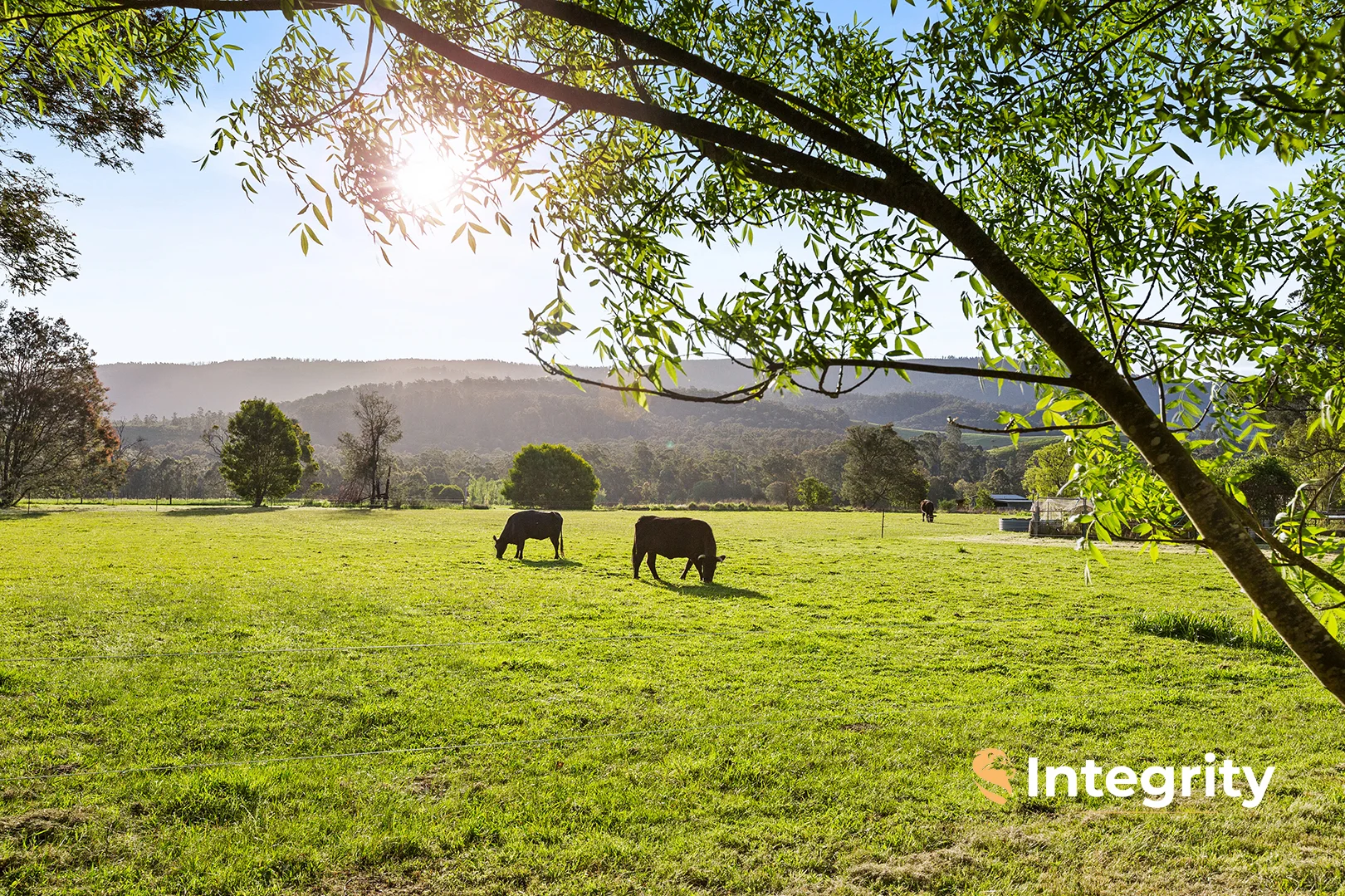 8 Passings Road, Buxton VIC 3711