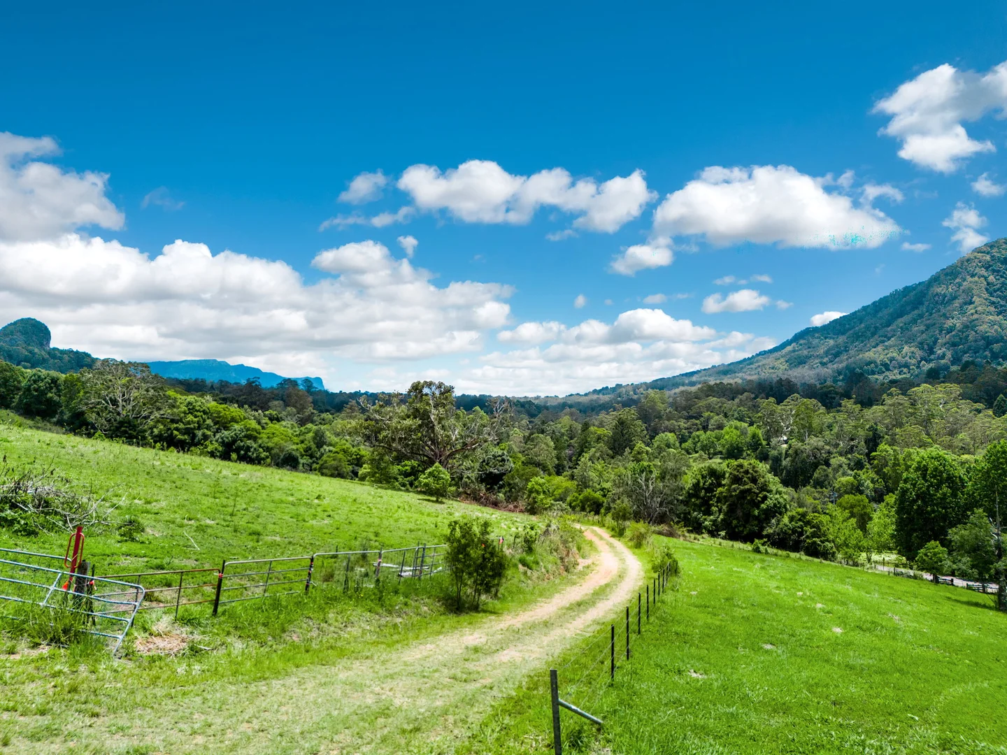 Additional image 33 of 442 Blue Knob Road, Nimbin NSW 2480