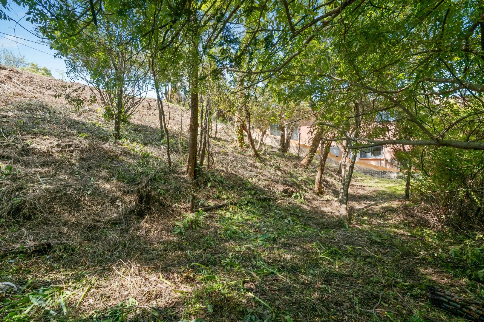 Additional image 5 of 12 Kalinda Road, Bullaburra NSW 2784