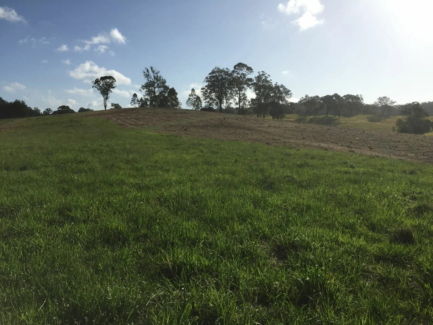 Additional image 8 of 45 Moores Lane, Eungai Creek NSW 2441