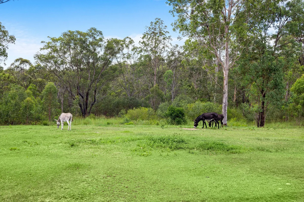 Additional image 26 of 242 Ewingar Ridge Road, Ewingar NSW 2469