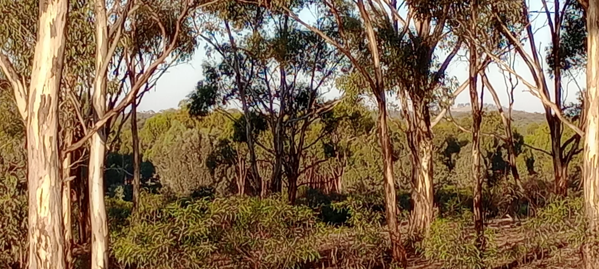Additional image 26 of Wedderburn VIC 3518