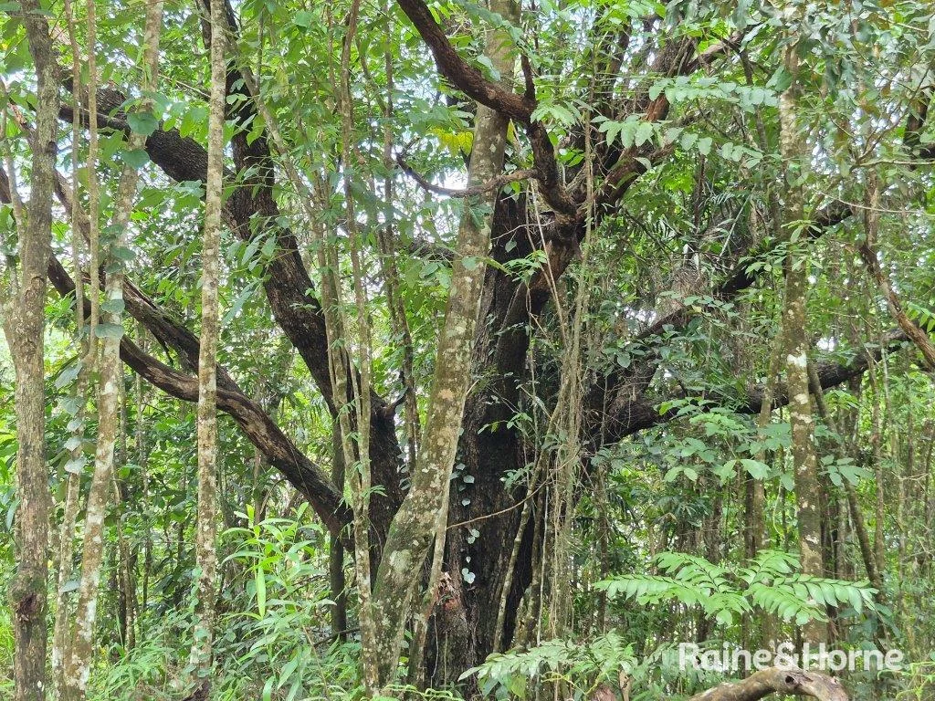 Additional image 9 of Lot 18 George Road, Forest Creek QLD 4873