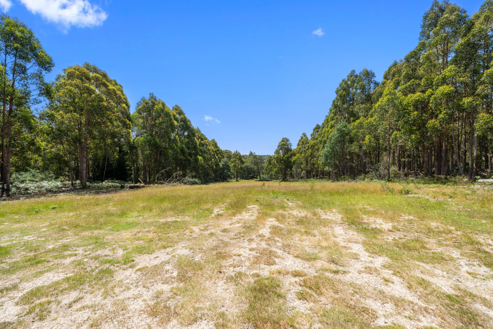 Additional image 2 of 79 Marriotts Road, Ellendale TAS 7140