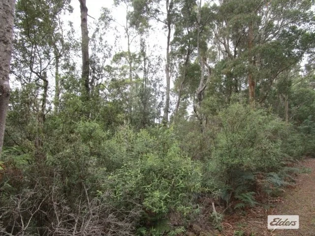 Additional image 5 of Lot 3 Jordans Road, North Motton TAS 7315