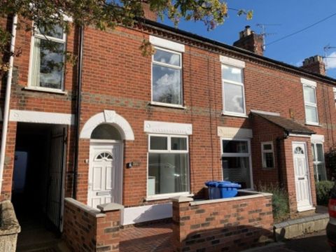 Room 1, 102 Nelson Street, Norwich NR2, Room to rent