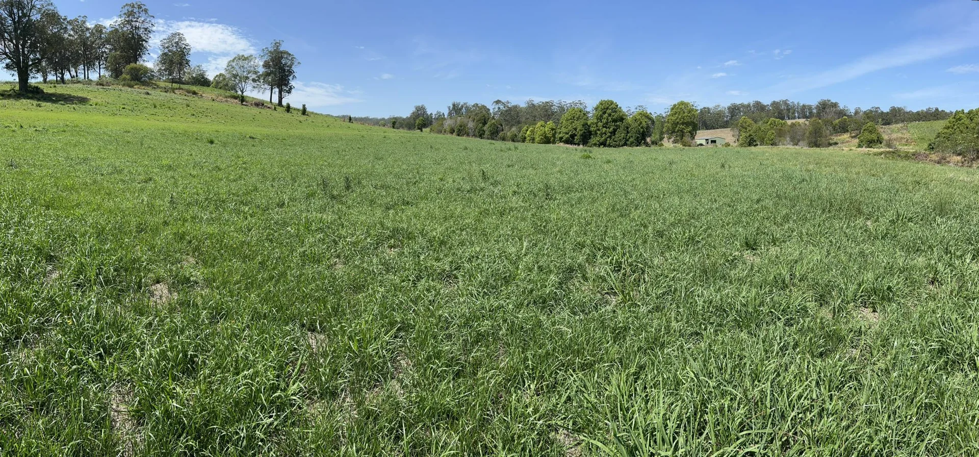Additional image 2 of 45 Moores Lane, Eungai Creek NSW 2441