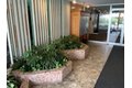 Additional image 6 of 41 Park St Apt 101, Brookline, MA, 02446