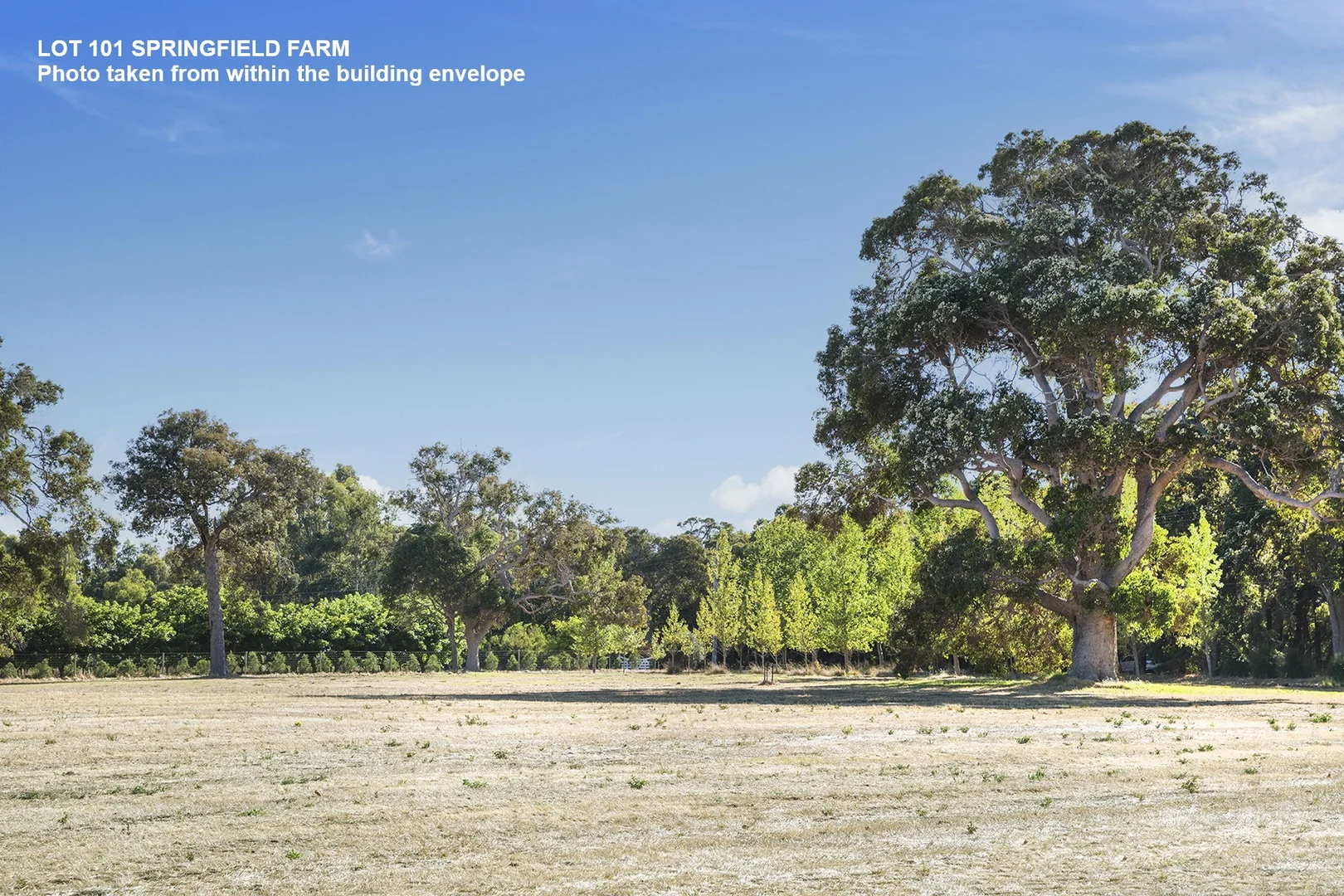 Additional image 4 of Lot 101 Springfield Farm, Yallingup WA 6282