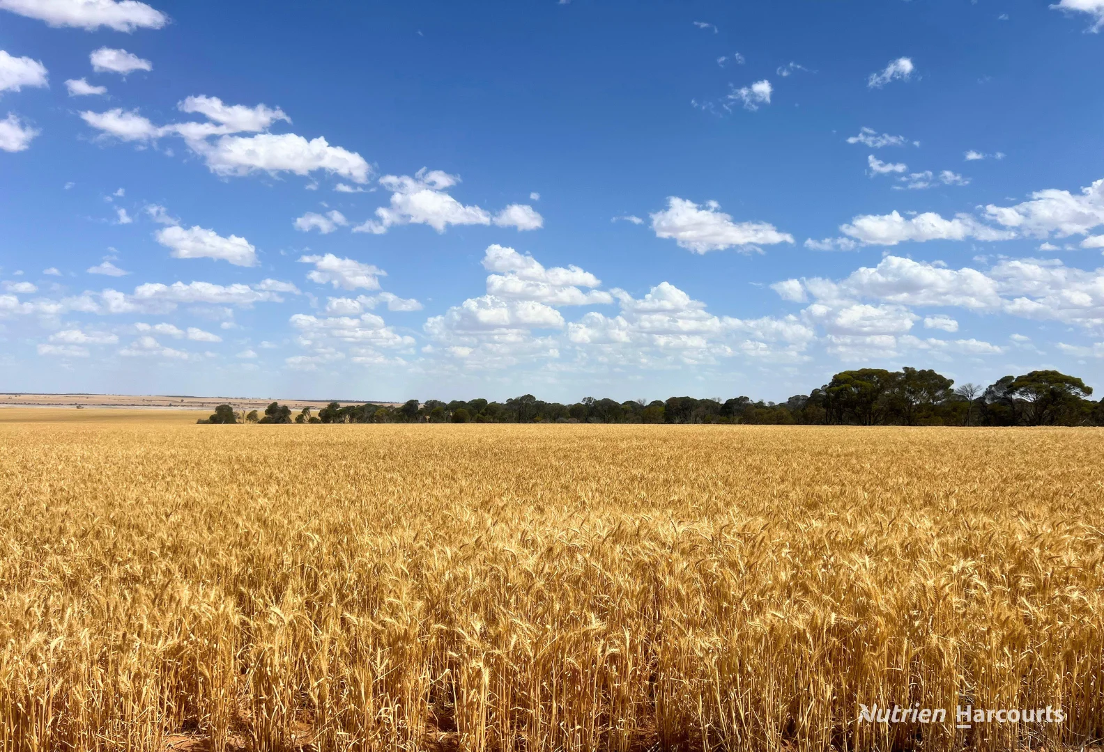 Additional image 3 of Lot 504 Dowerin-Koorda Road, Booralaming WA 6475