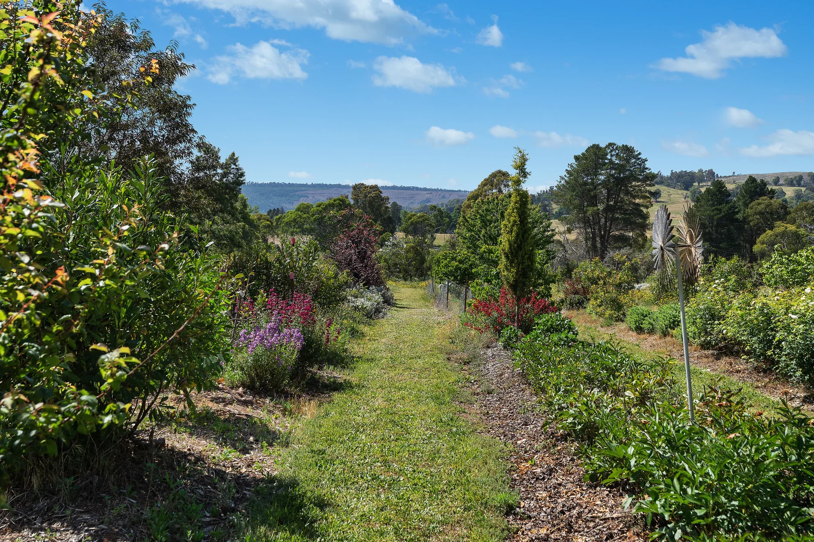Additional image 4 of 107 Mill Road, Batlow NSW 2730